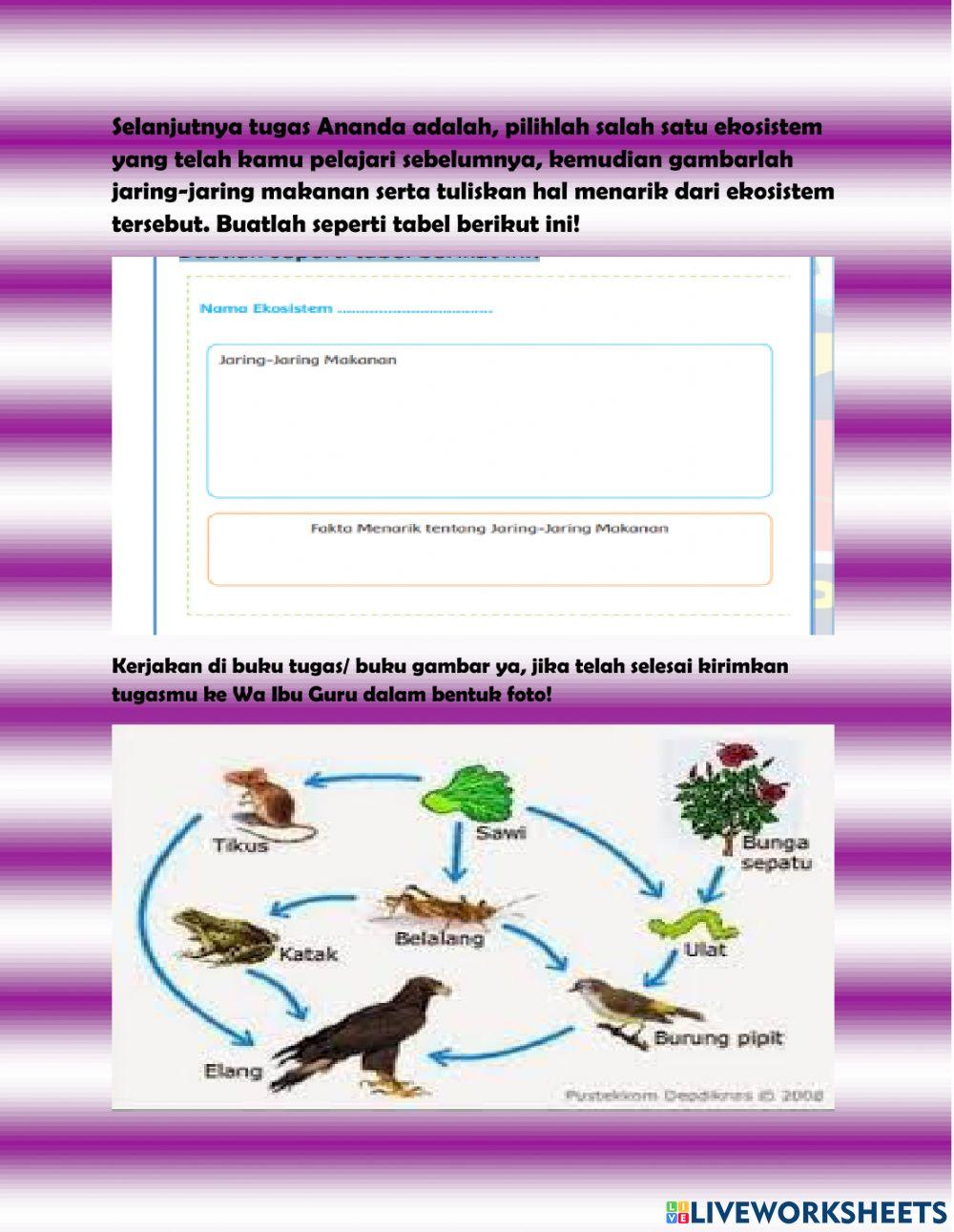 Lkpd kelas 5 tema 5 subtema 2 pb 5