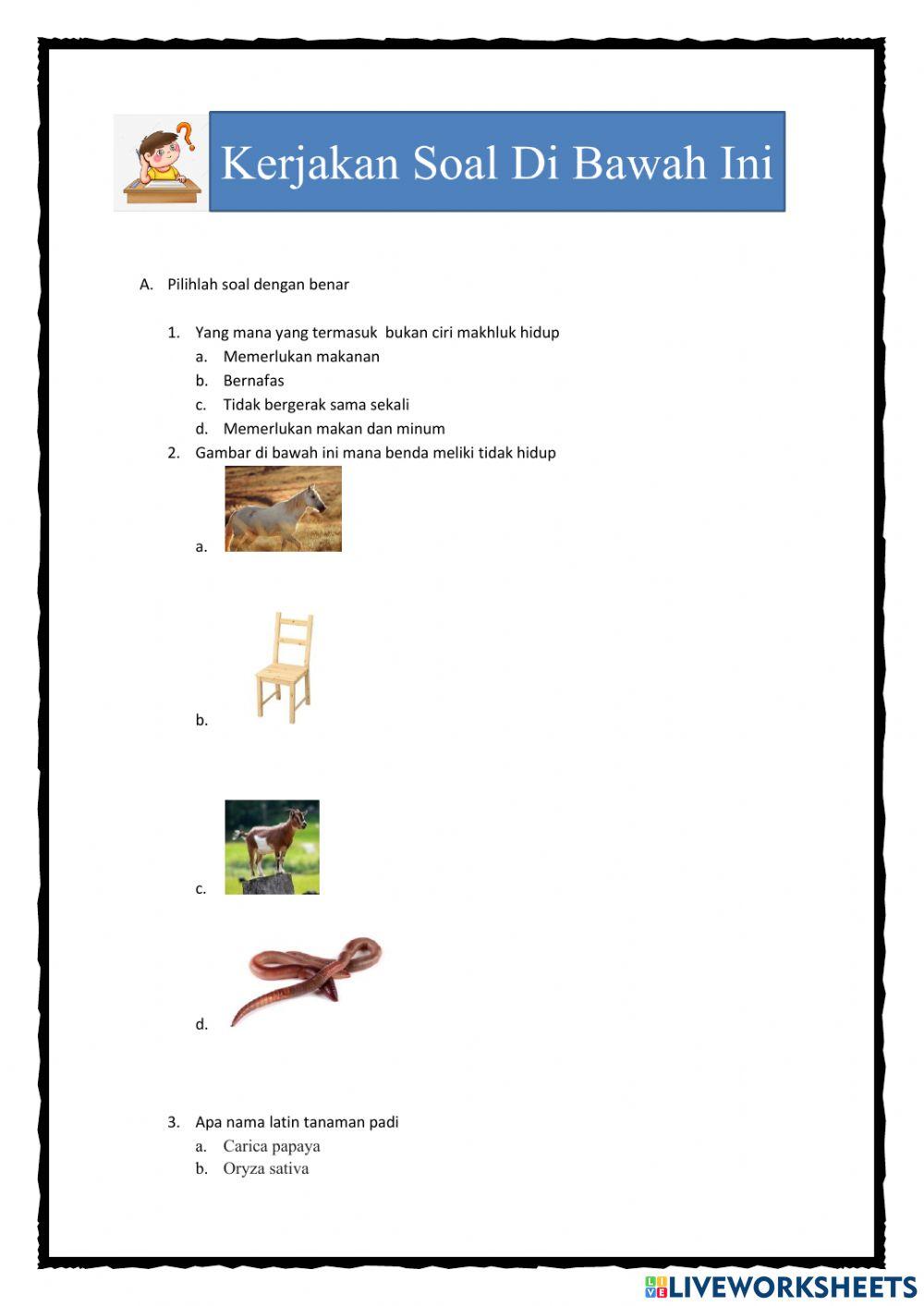 Klasifikasi makhluk hidup 1