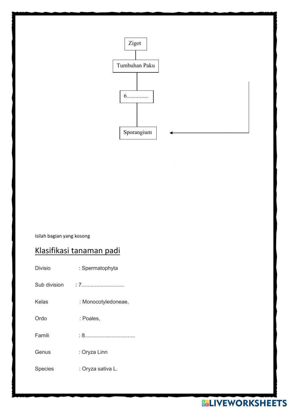 Klasifikasi makhluk hidup 1