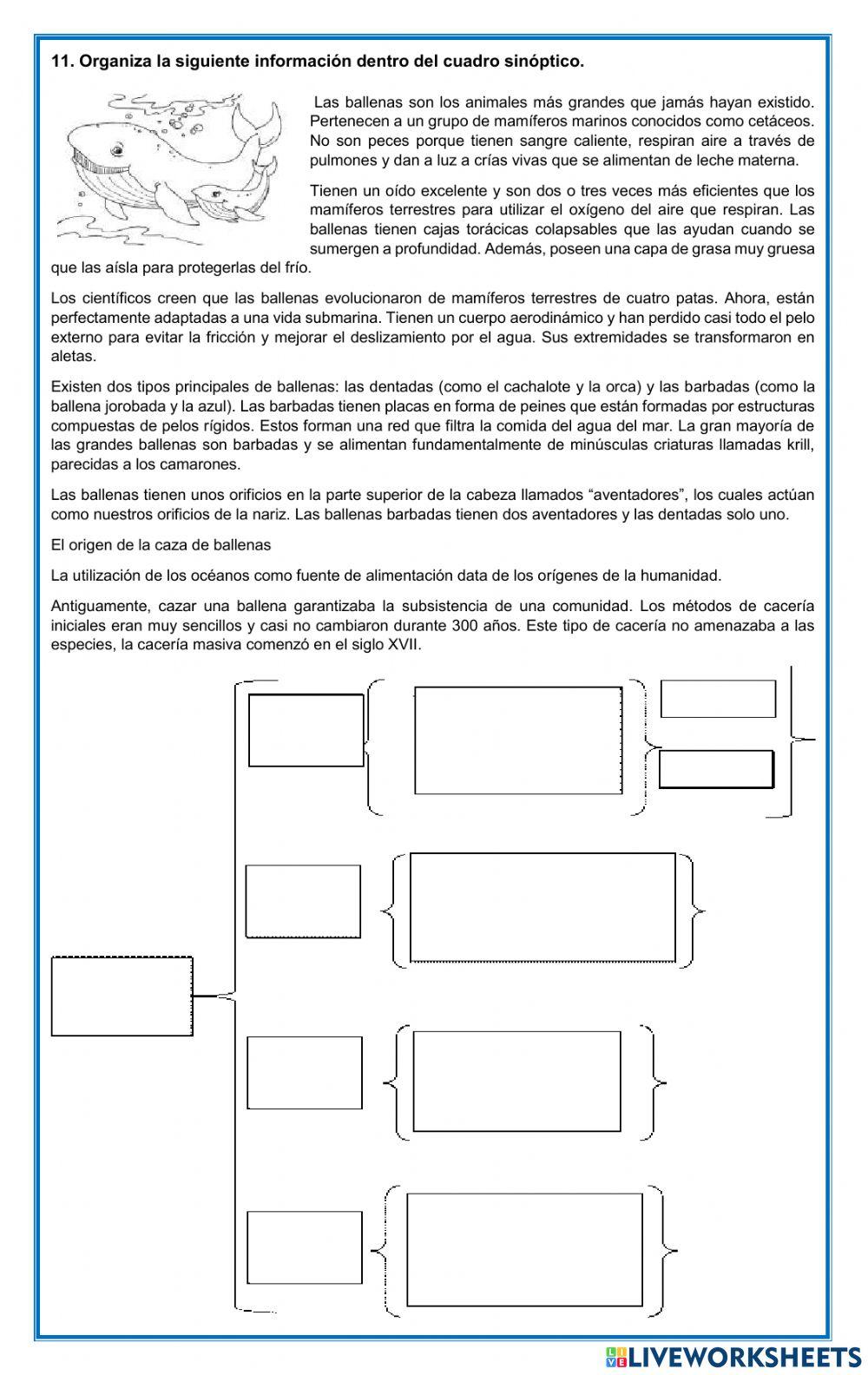 Bimestral grado Cuarto- cuarto bimestre