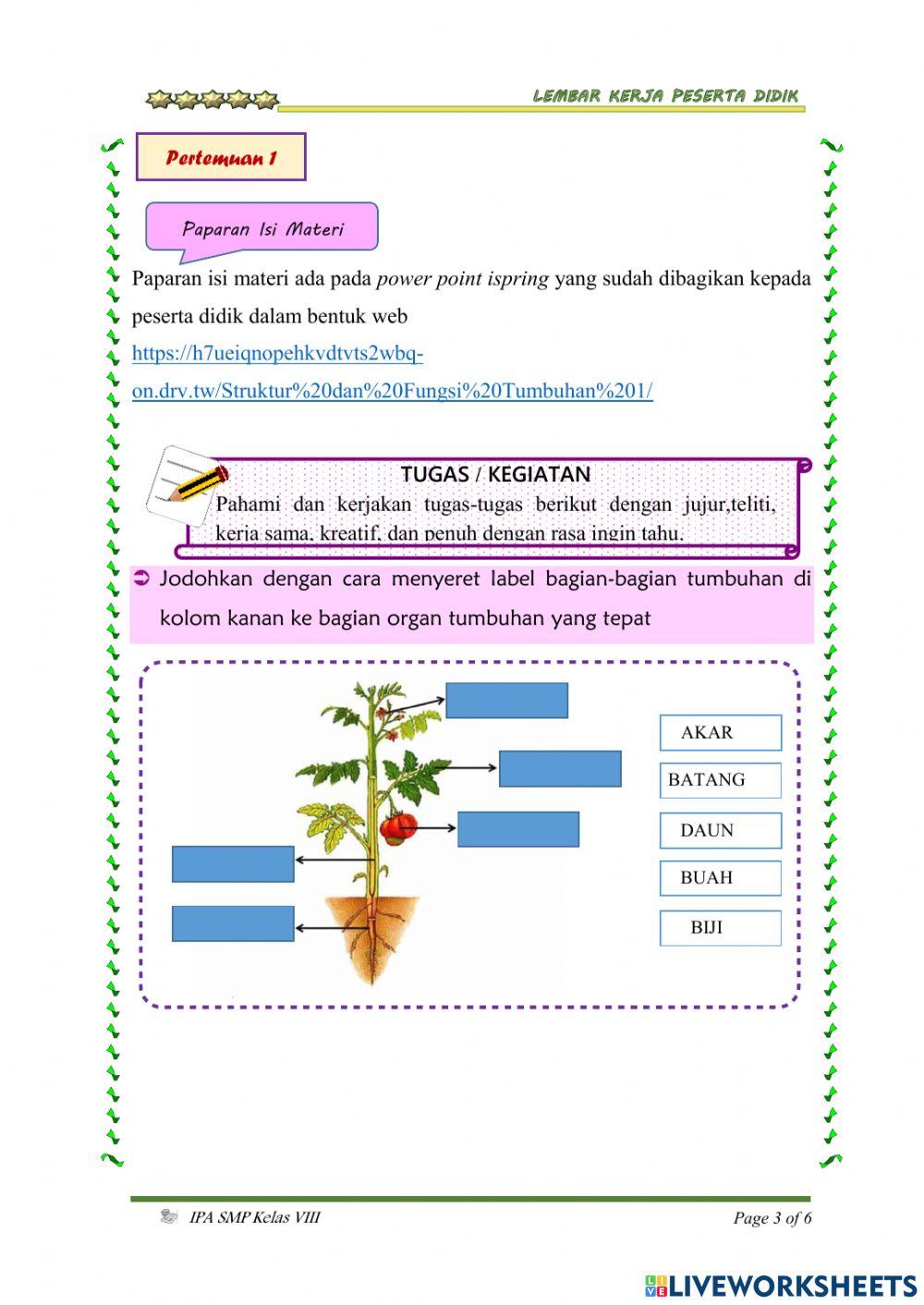 Struktur dan Fungsi Tumbuhan