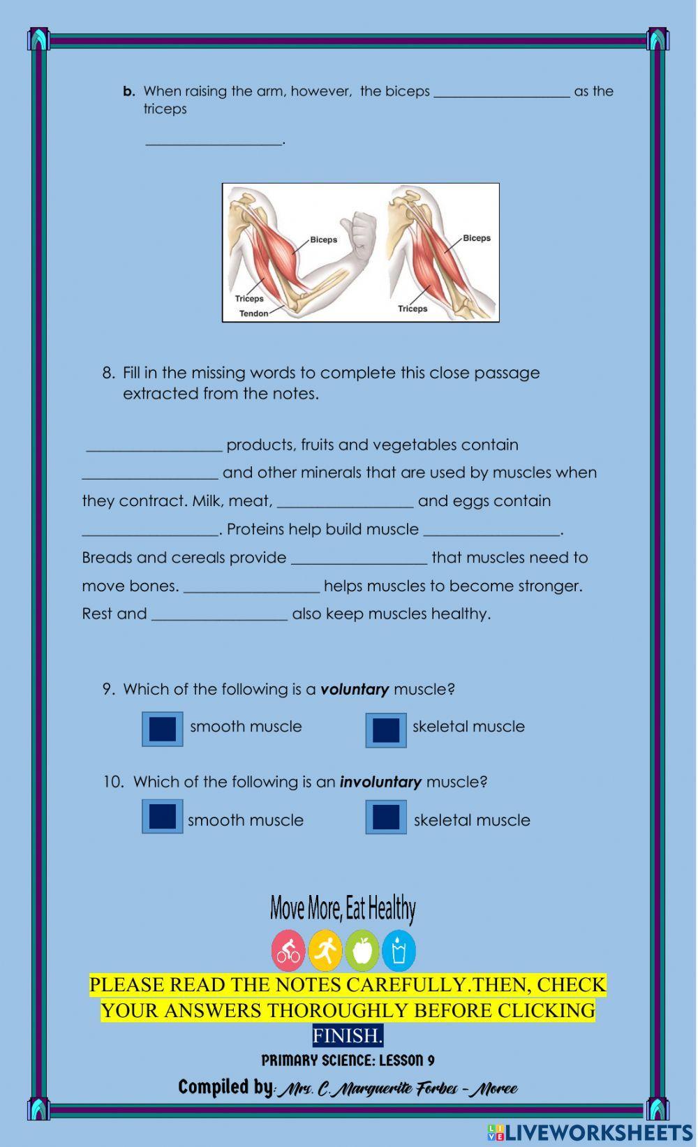 The Muscular System The Muscular System