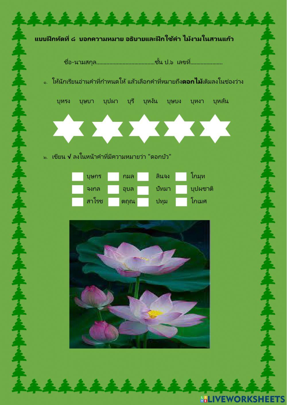 แบบฝึกหัดที่ ๘ ไม้งามในสวนแก้ว ป.๖