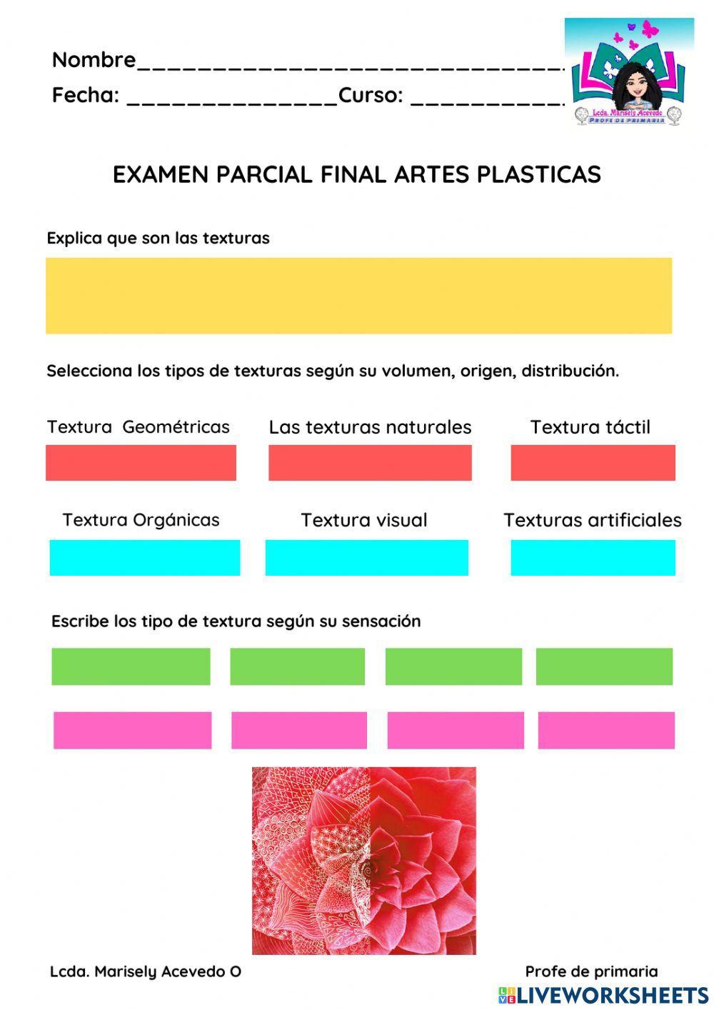 Examen parcial final de artes plásticas visuales