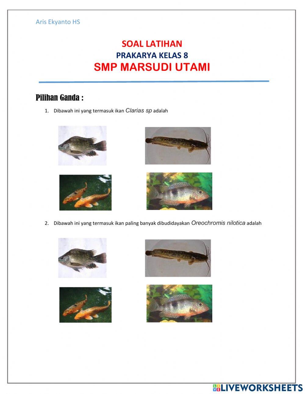 LKPD - Prakarya 8 Marsudi Utami