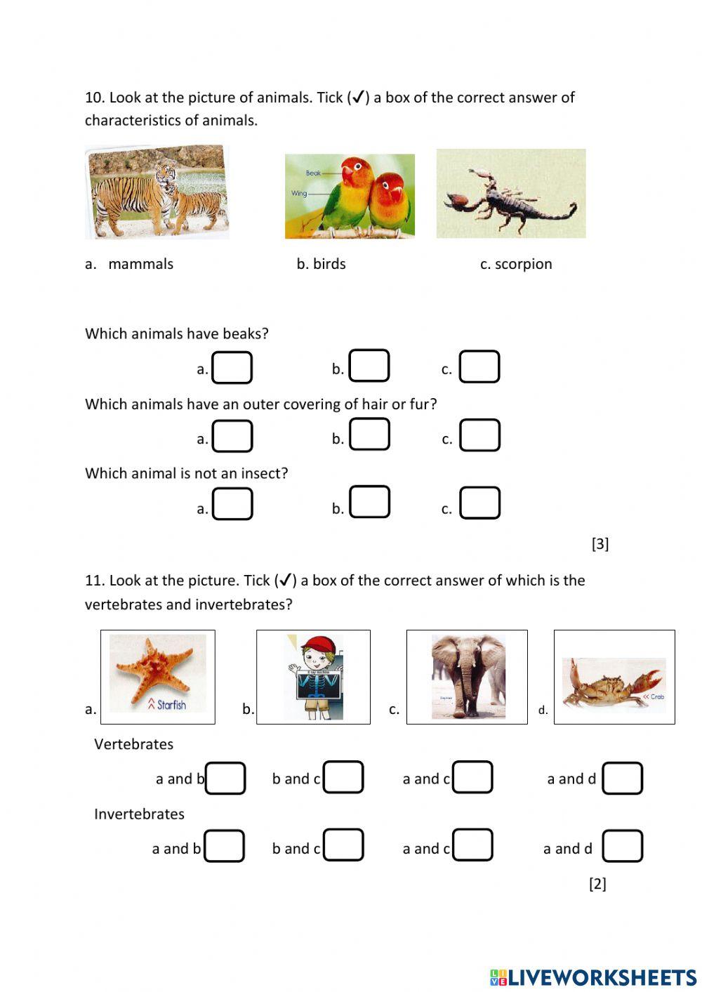 First Term Examination in Science (part 2)