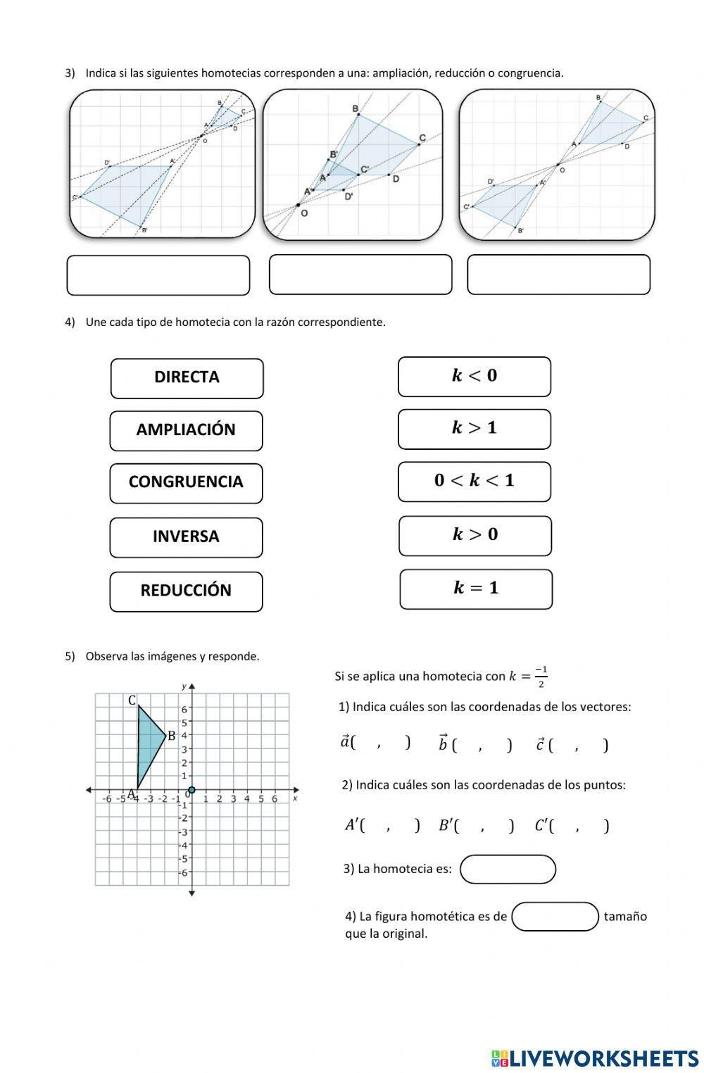 Actividad 10- - Homotecia