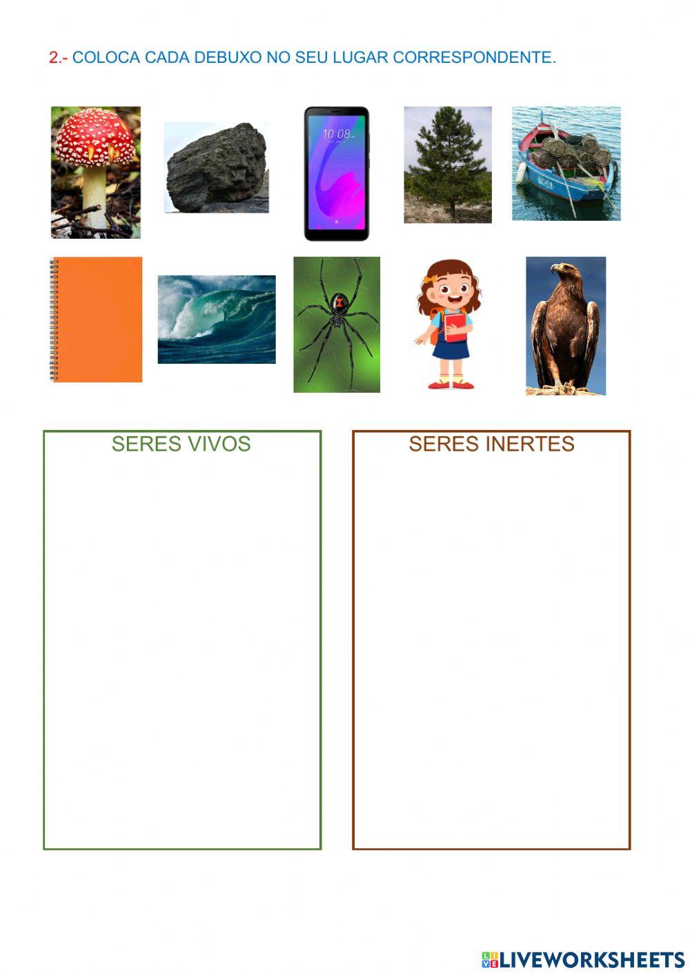 Seres vivos e seres inertes