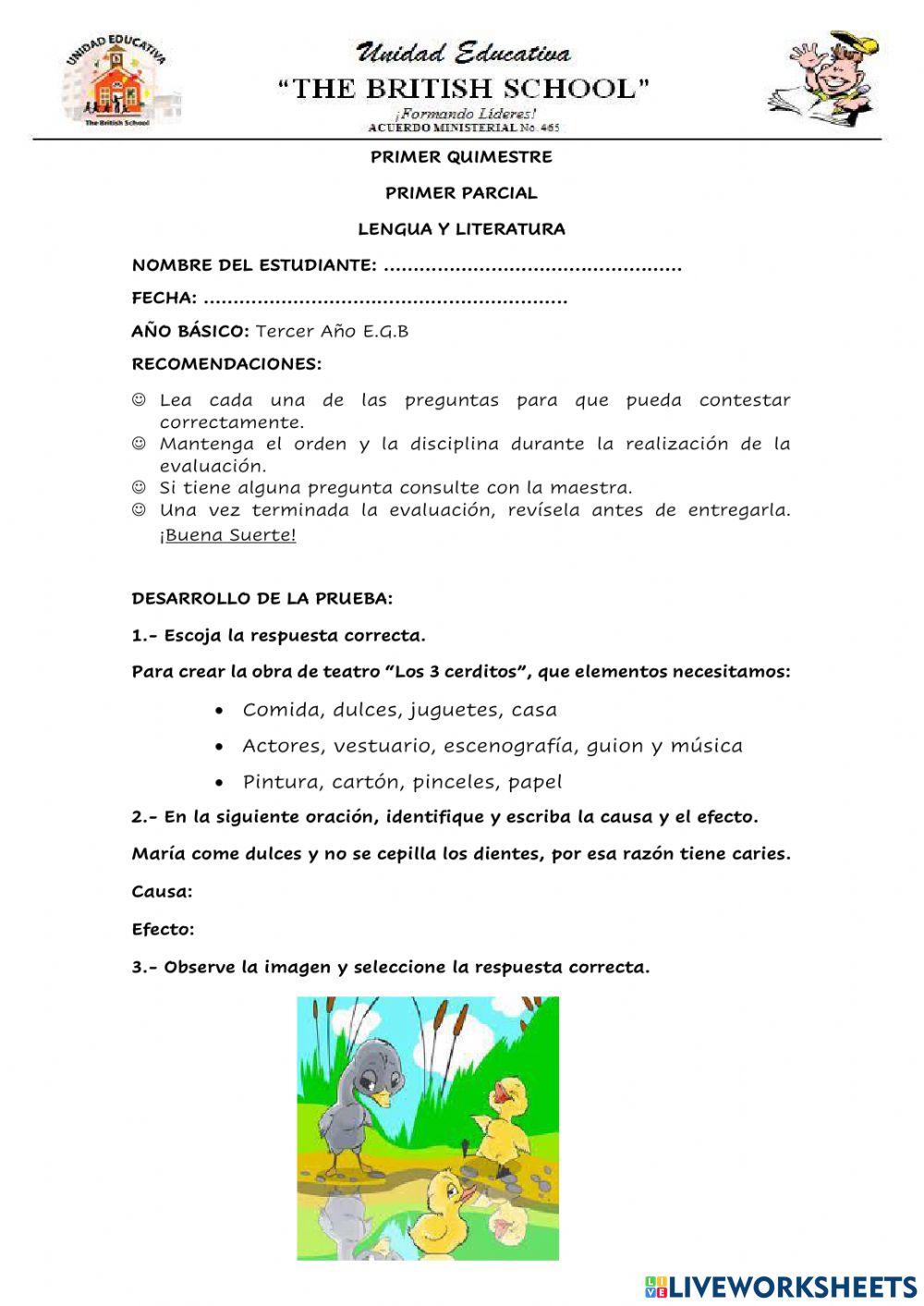 Reglas ortográficas