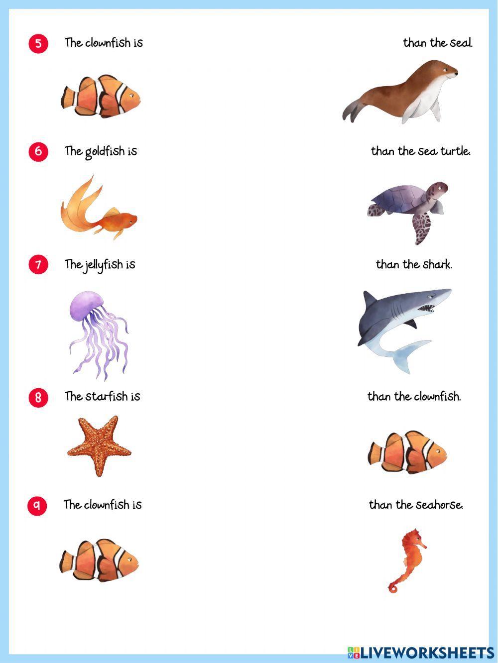 Comparing Sea Animals