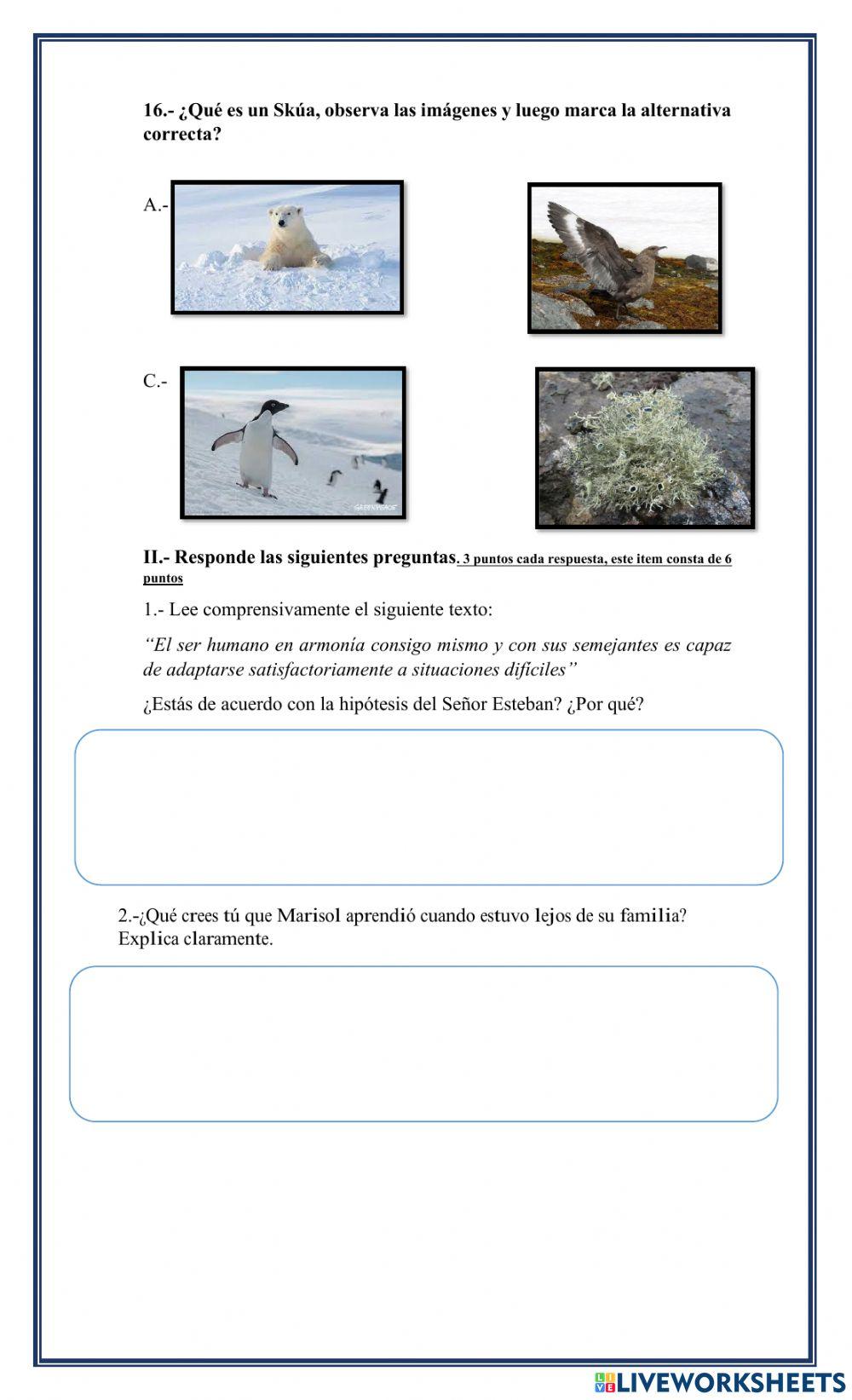Prueba marisol en la antártica