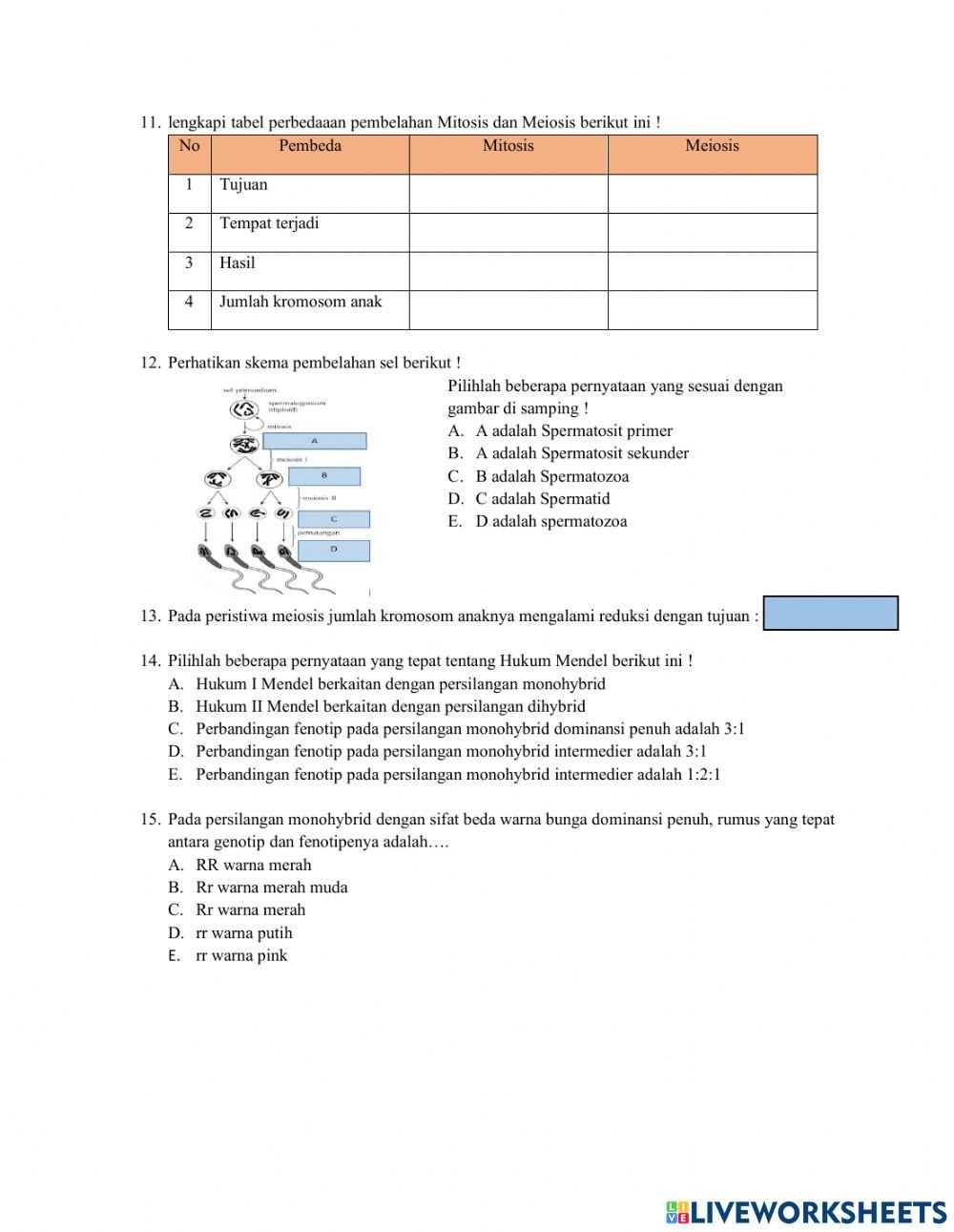 Pas biologi kls xii ganjil