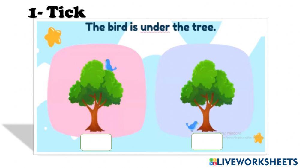 PREPOSITIONS OF PLACE PRACTICE