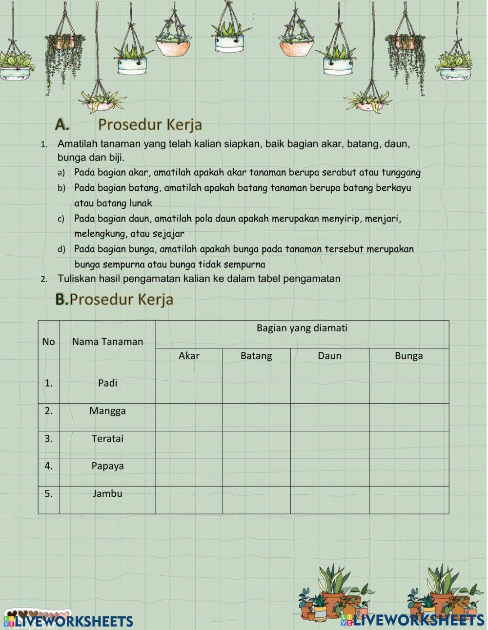 Struktur Bagian-Bagian Tumbuhan