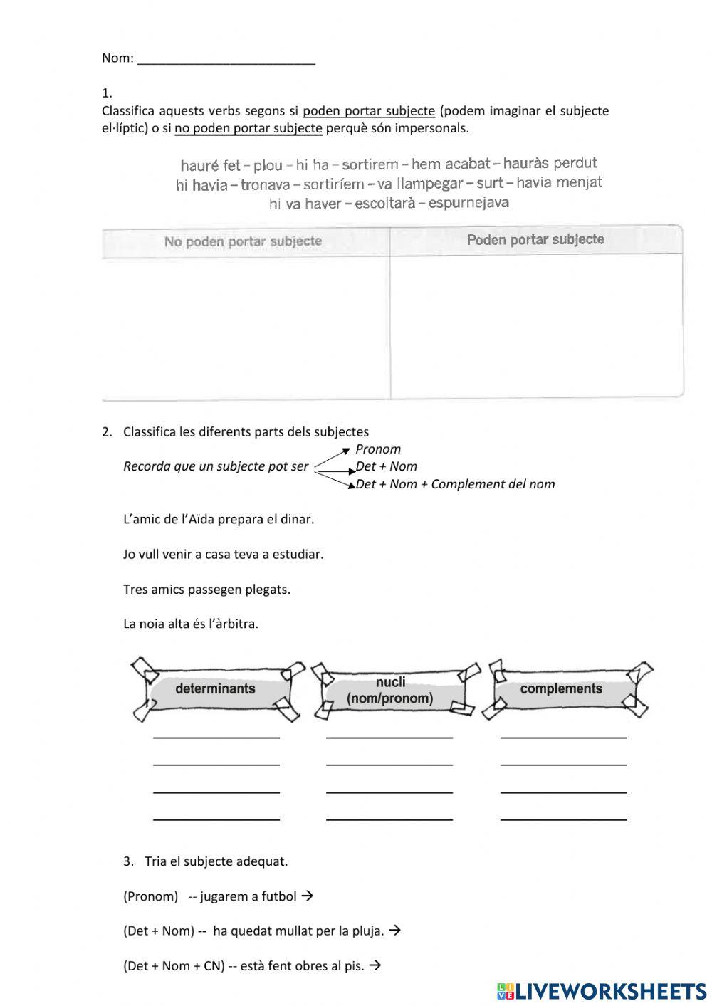 Subjecte i sintagma nominal