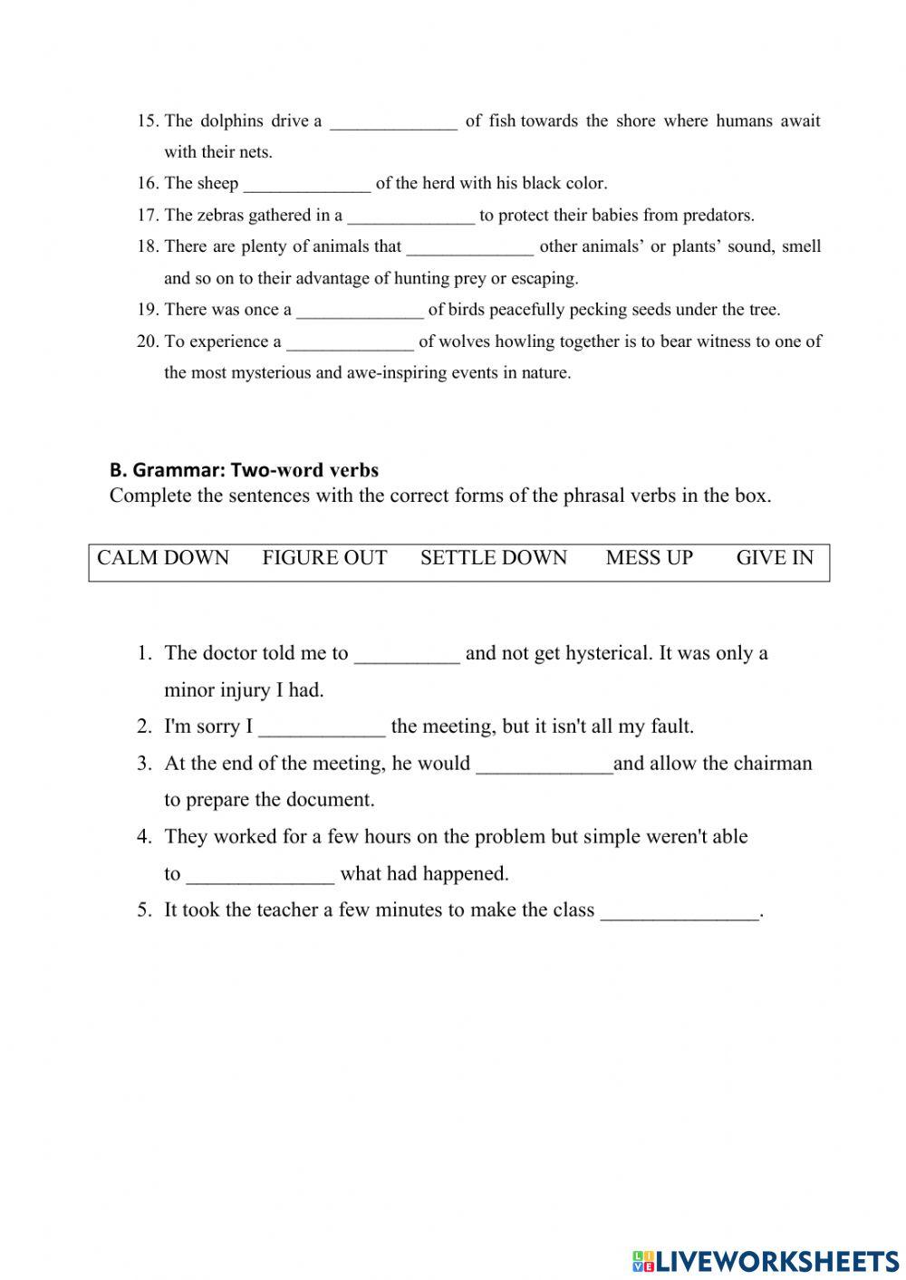 Impact 3 - Unit 3 Revision