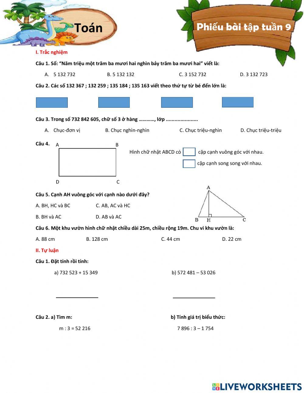 Ôn tập toán - tv tuần 9