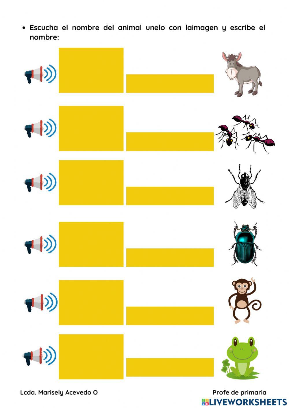 Examen parcial final guarani