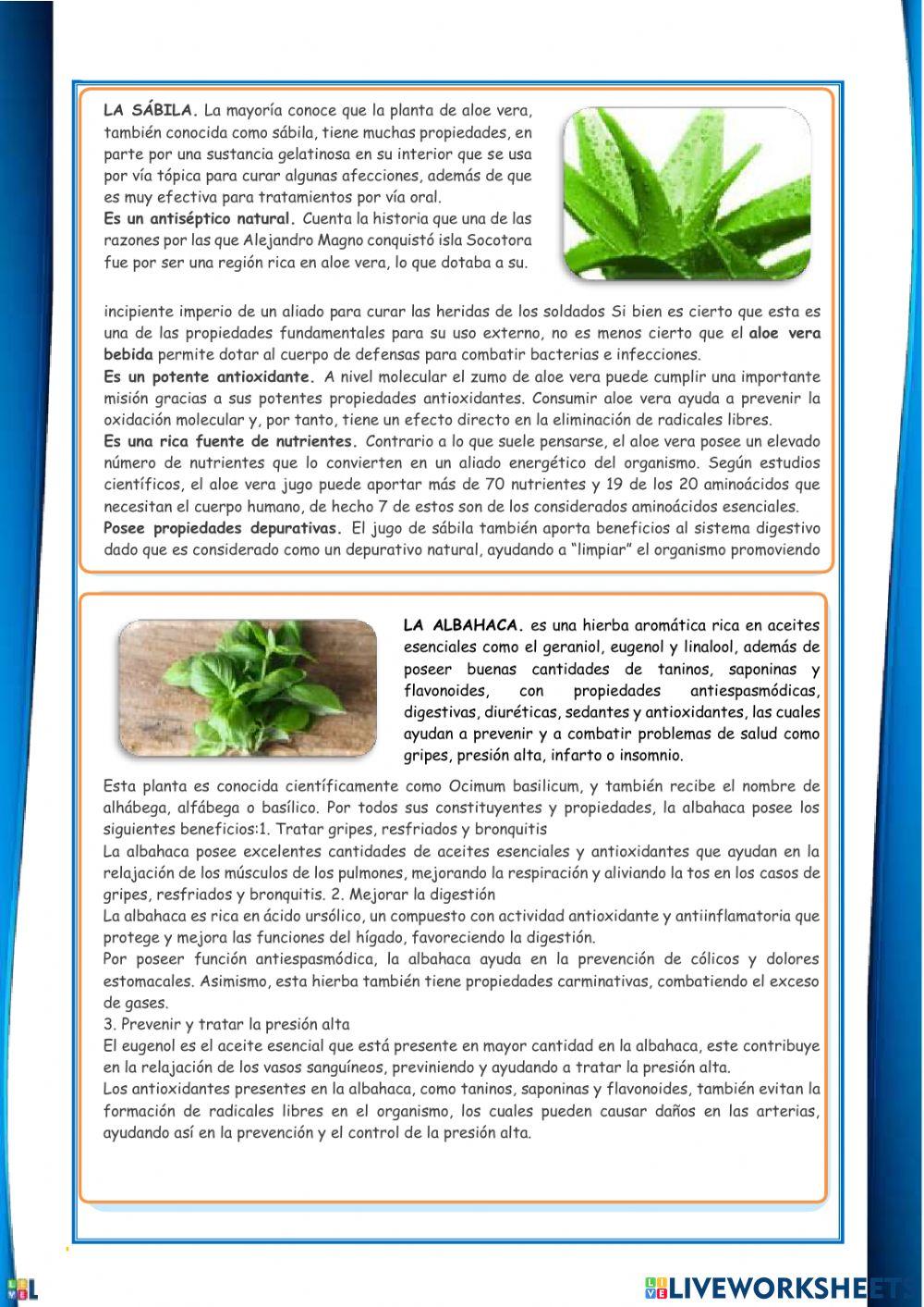 Medicina Natural