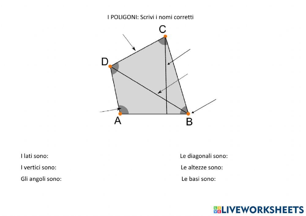 Triangoli e poligoni
