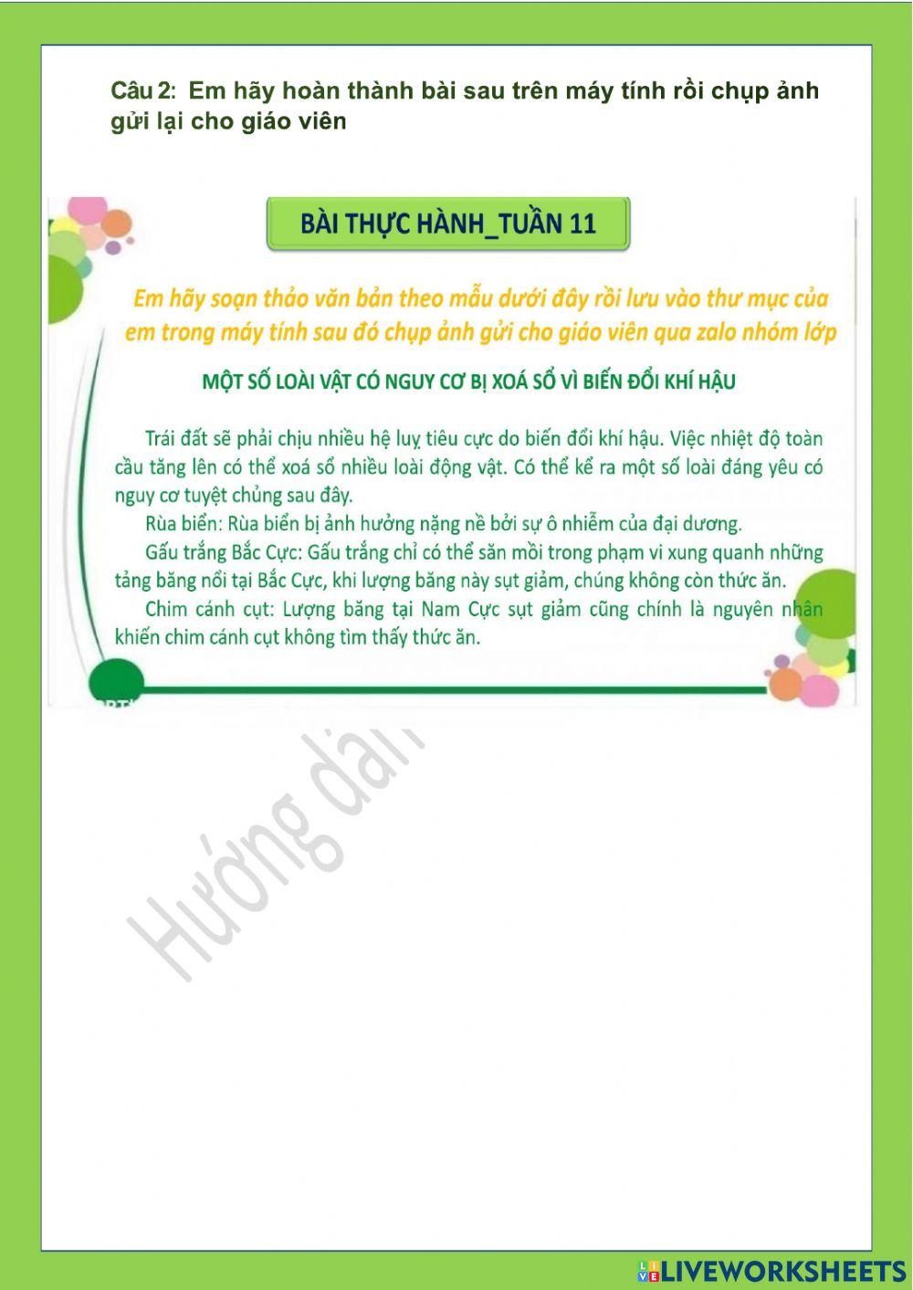 Tin học lớp 4-Tuần 11-CĐ3-Bài 1: Những gì em đã biết