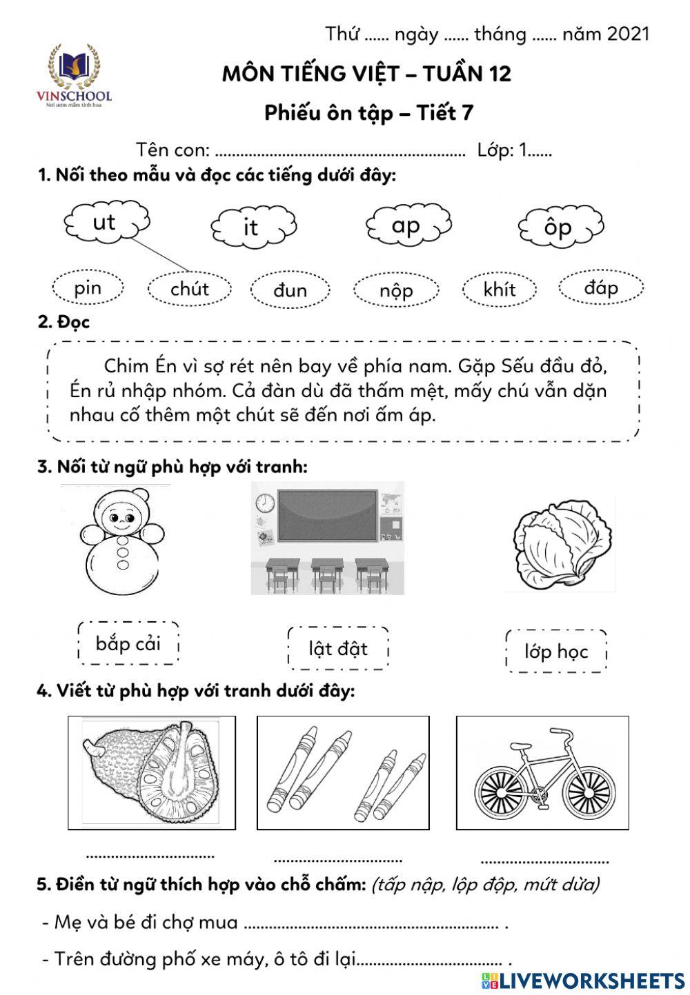Ôn tập TV tuần 12