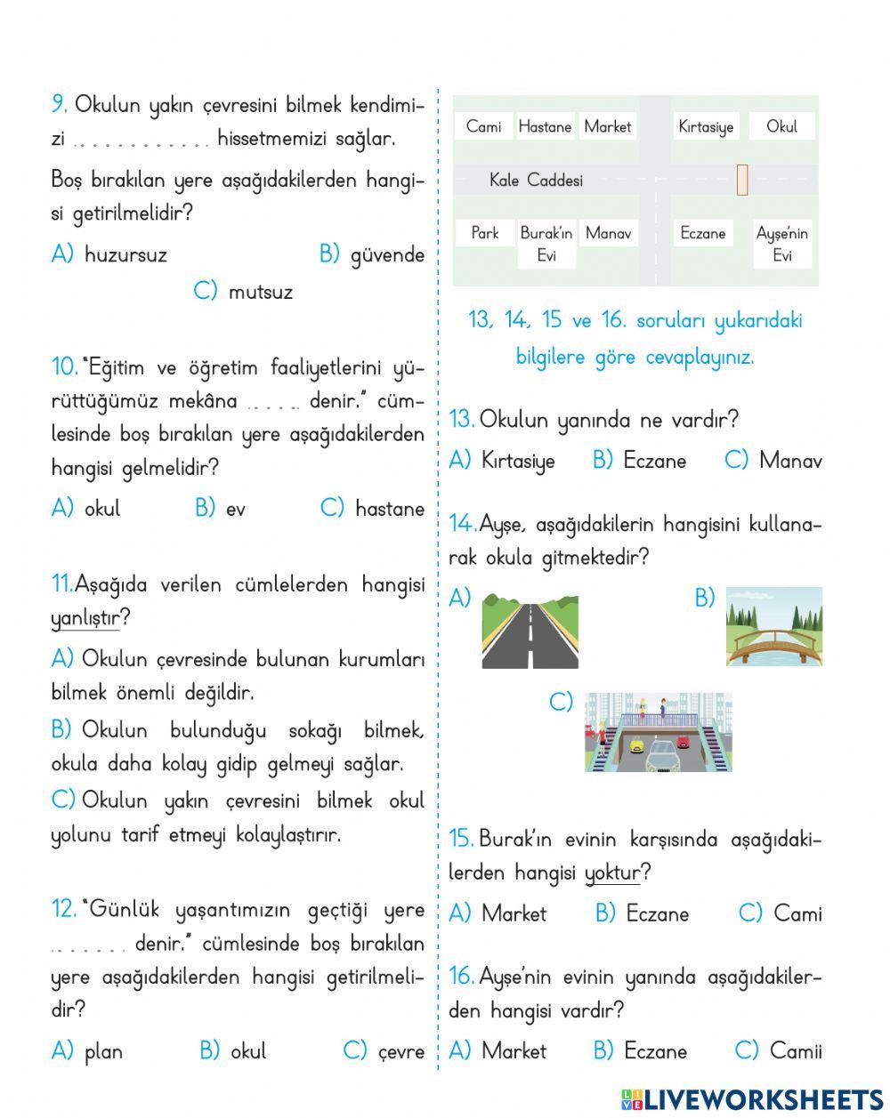 Hayat Bilgisi 3. Hafta Test