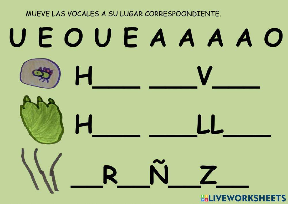 Huevo, huella y arañazo de dinosaurio