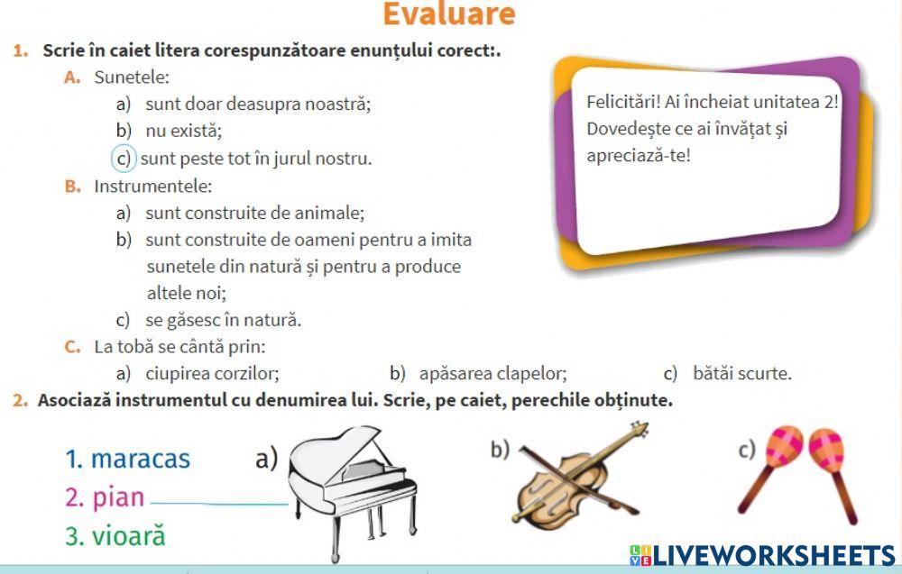 Lumea sunetelor- evaluare
