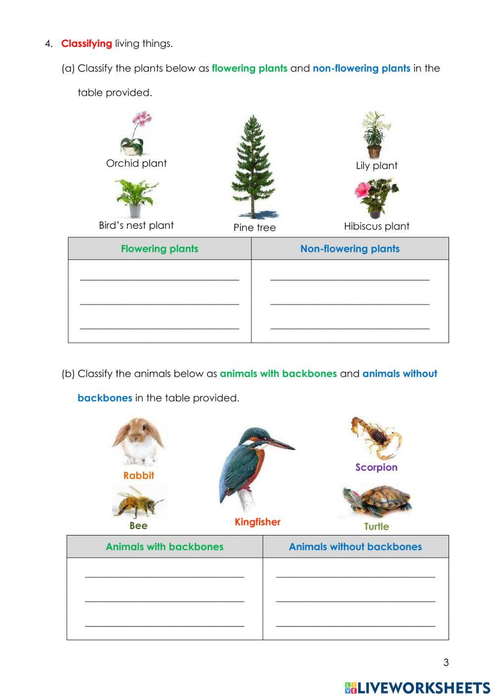 Year 4 SBE 2021 (SCIENCE)