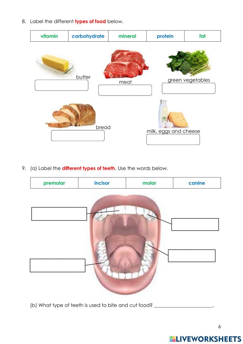 Year 4 SBE 2021 (SCIENCE)