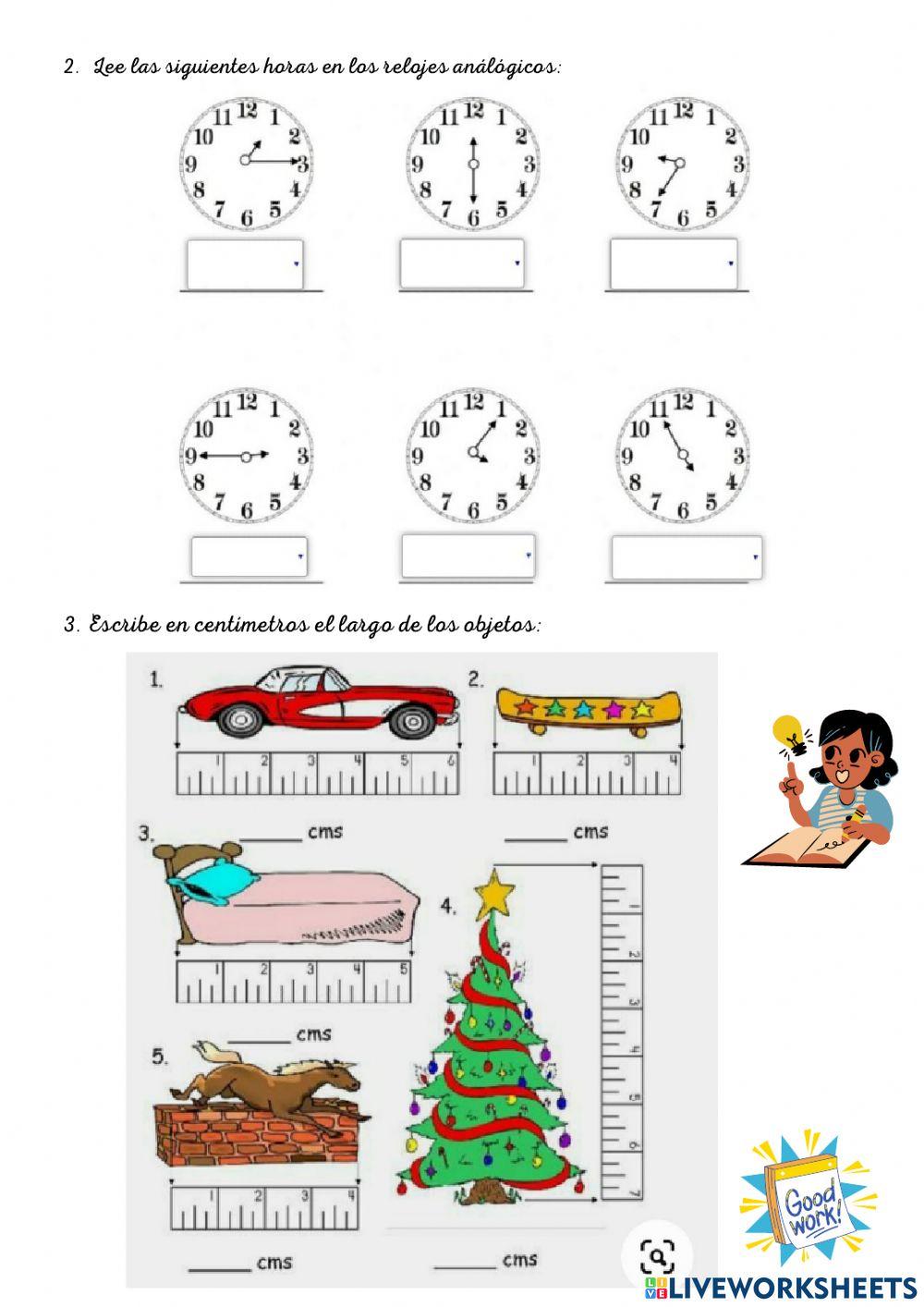 Socialización de saberes
