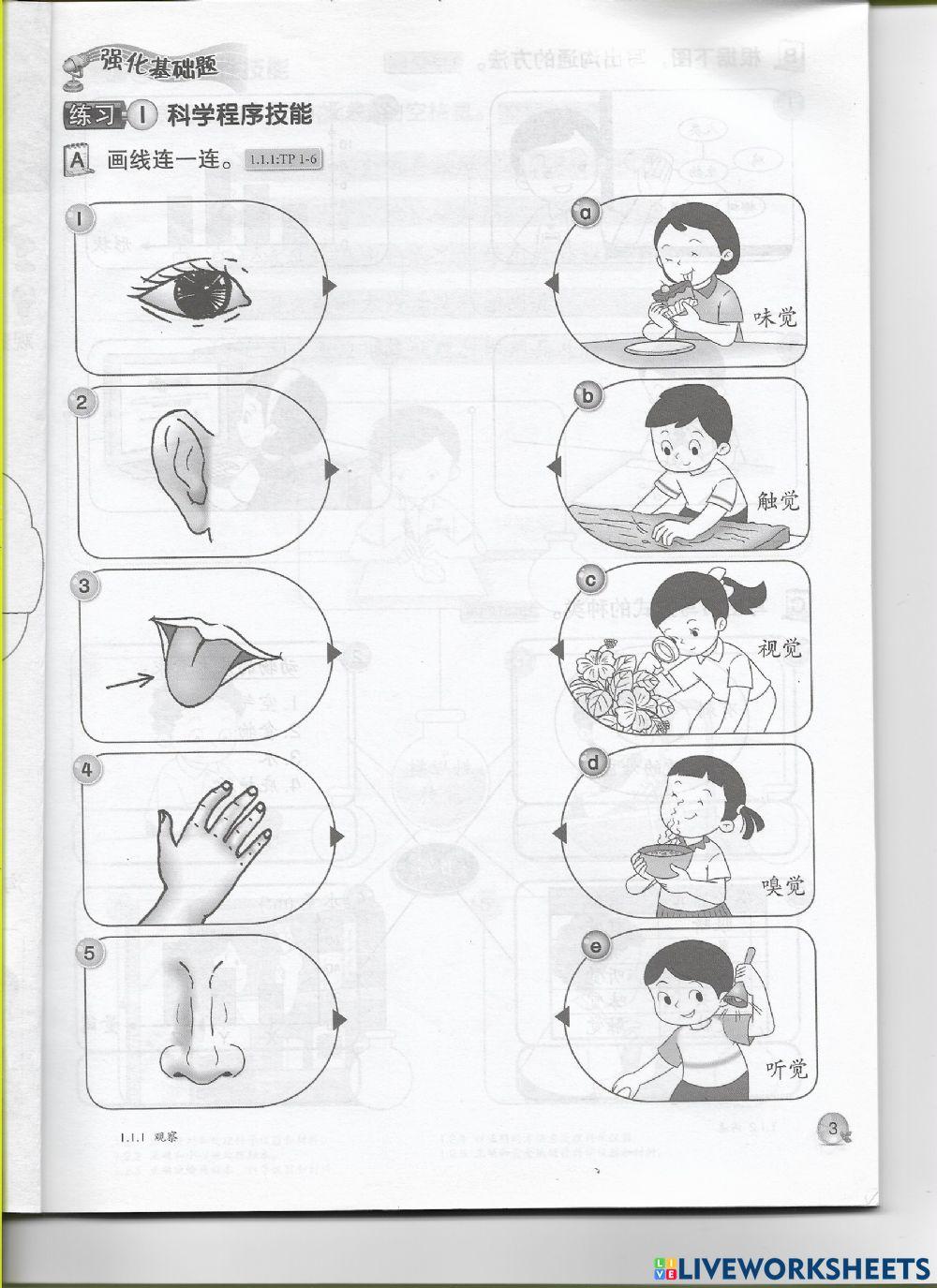 科学技能 （感觉器官）