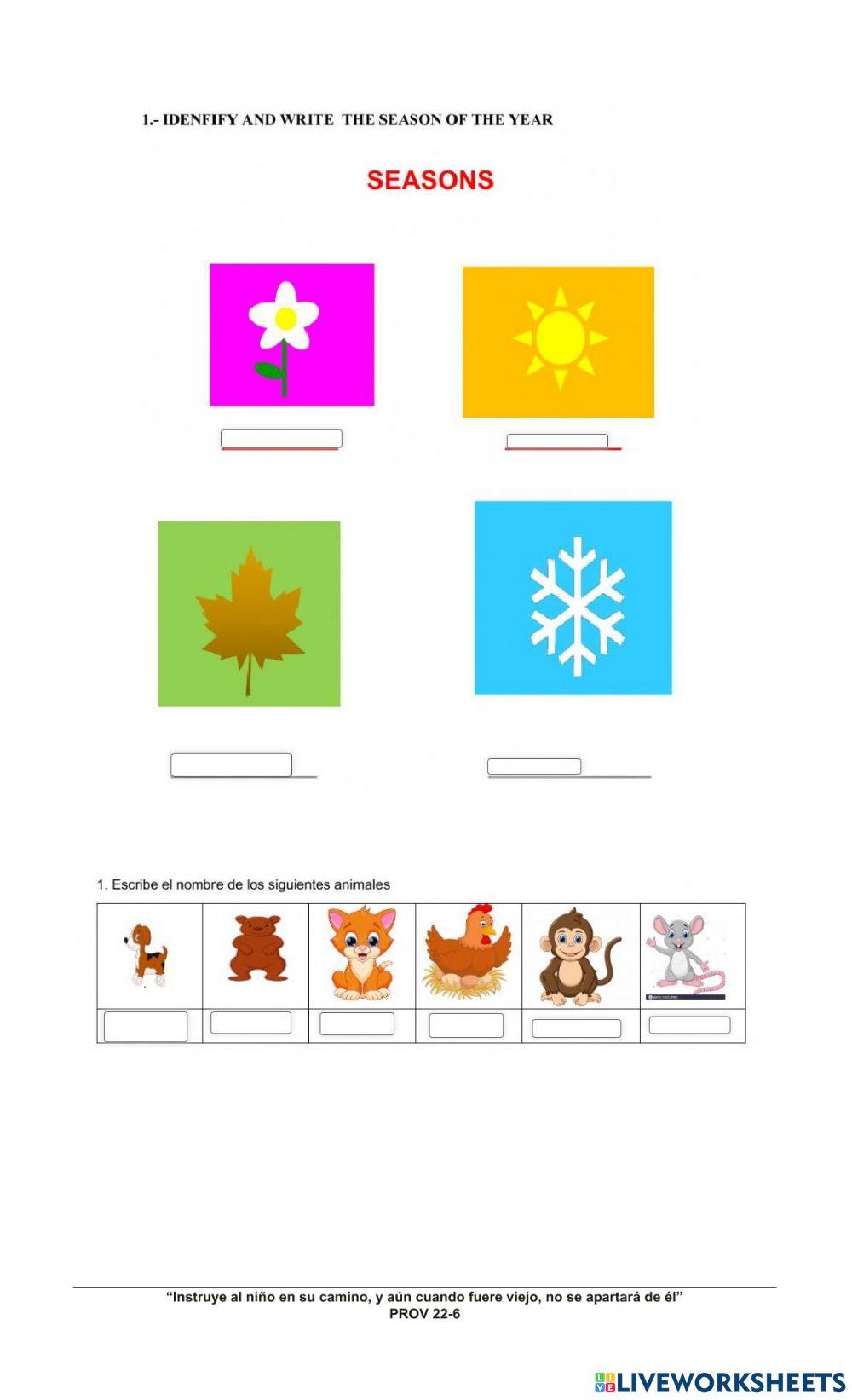 Evaluacion de ingles