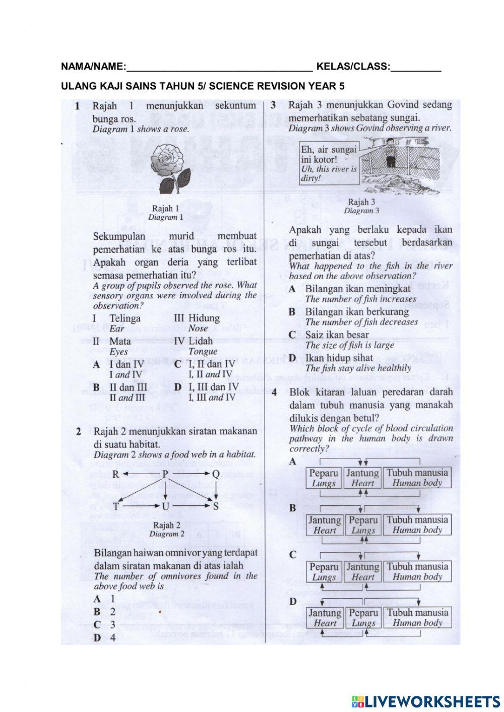 Revision science year 5 (4)