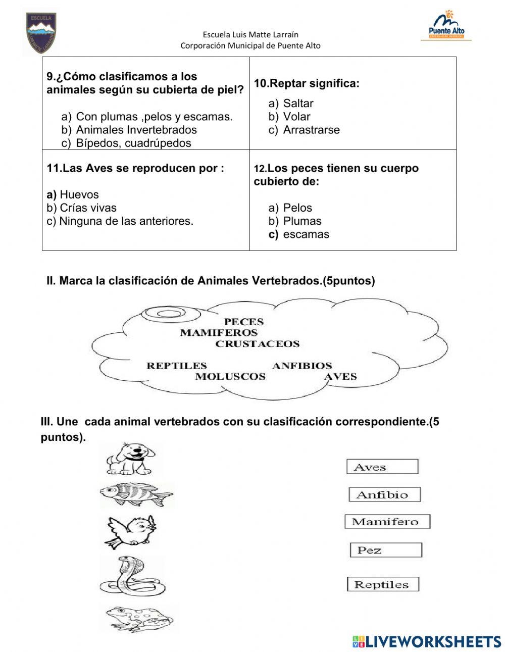Prueba de Ciencias Naturales