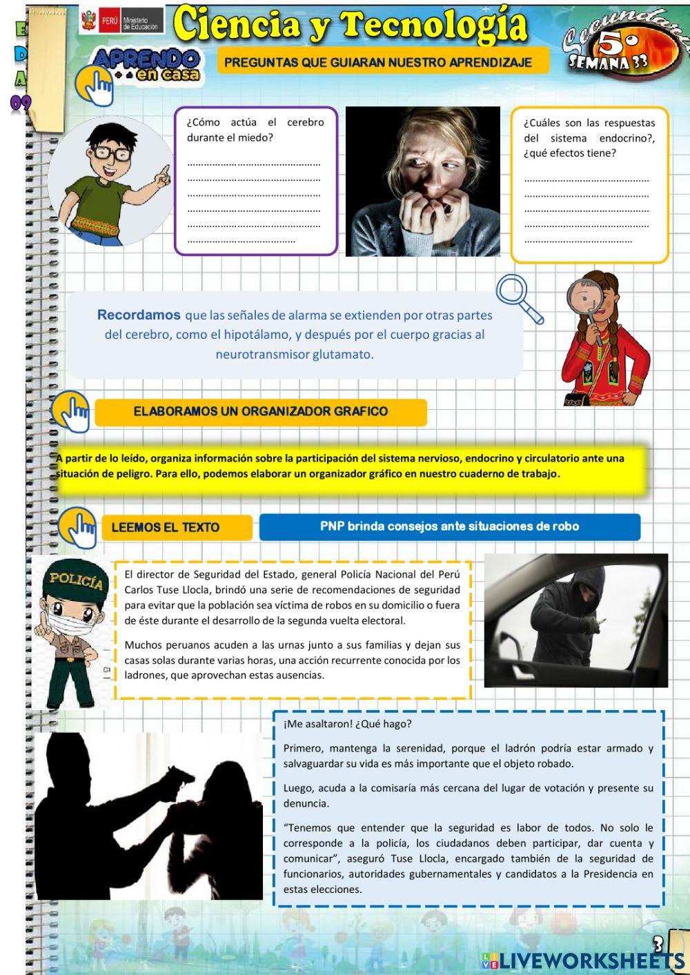 Explicamos las alteraciones en las funciones de algunos sistemas humanos ante actos de inseguridad ciudadana