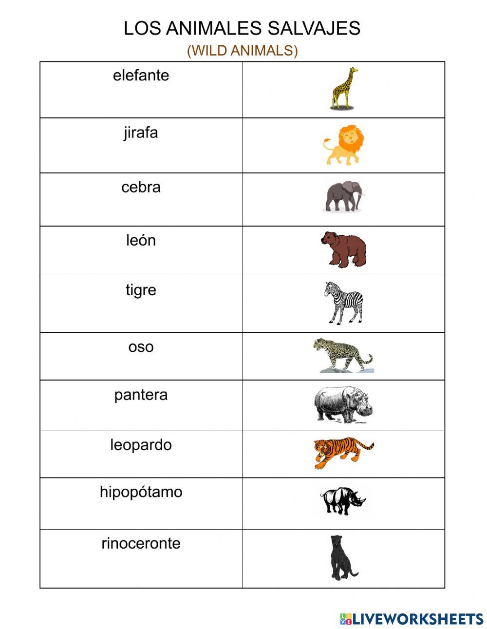 Matching LOS ANIMALES