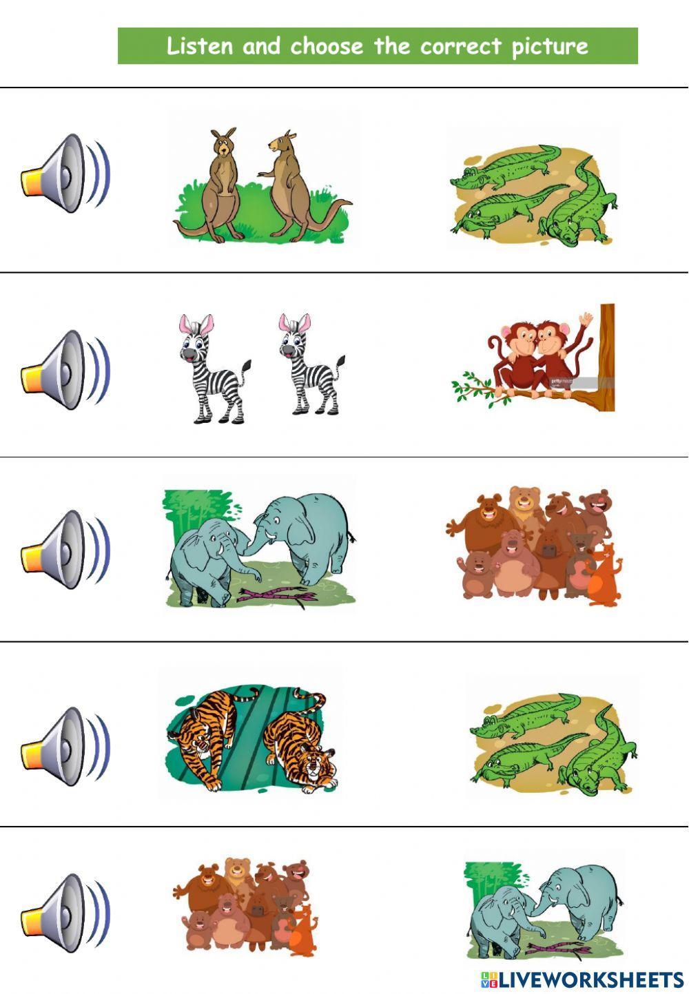 WS What animal do you want to see?