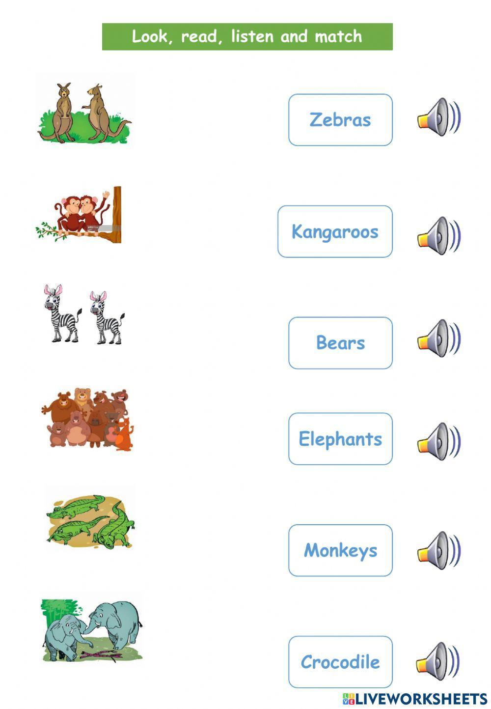 WS What animal do you want to see?