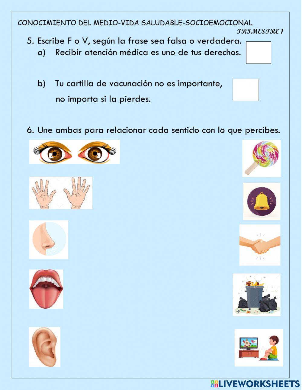 Examen conocimiento del medio