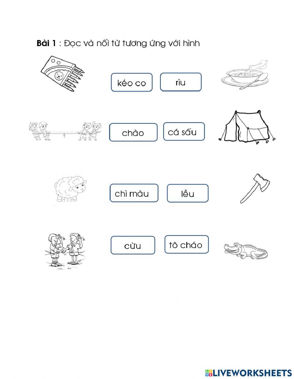 Bài ôn tập tuần 11