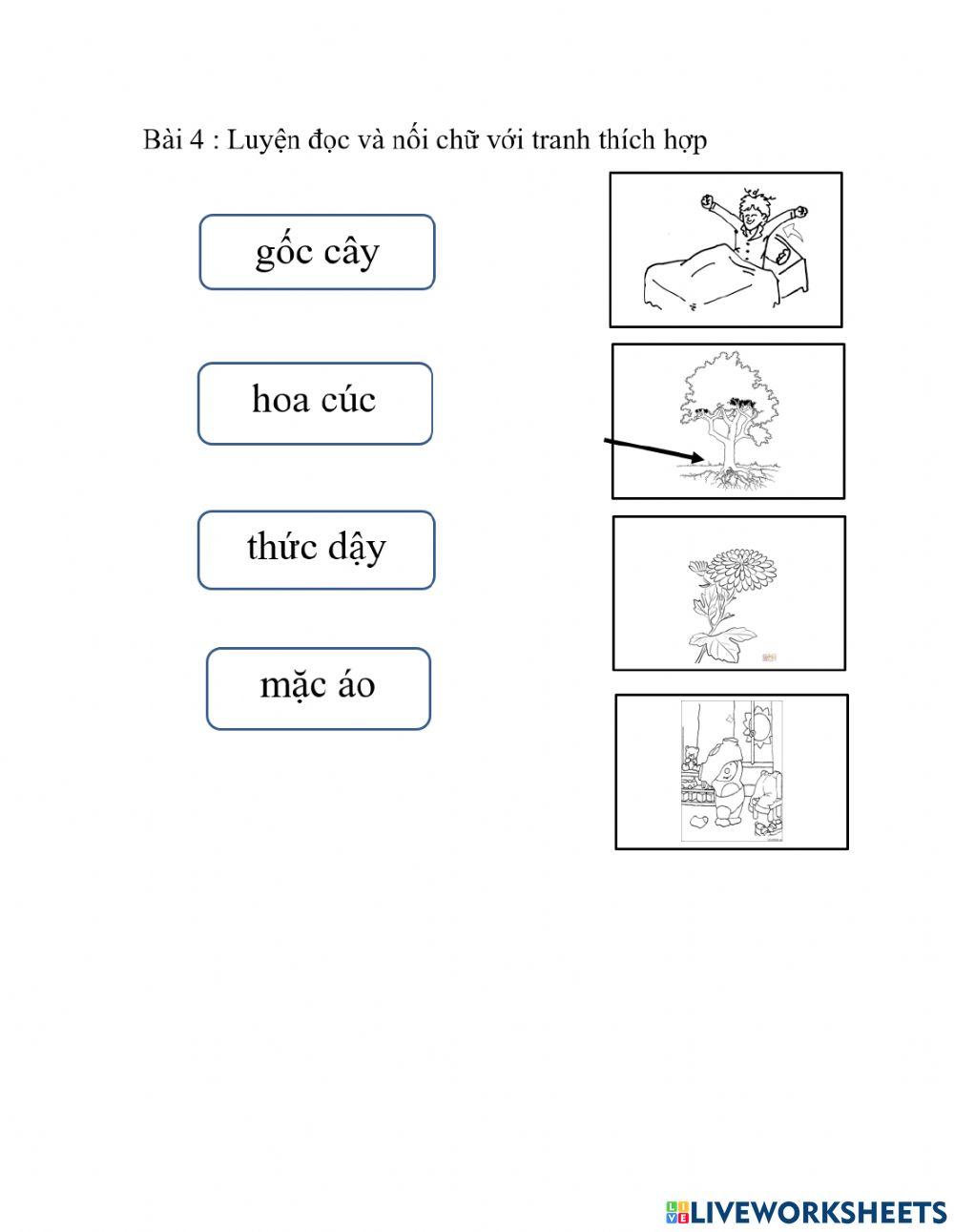 Bài ôn tập tuần 11