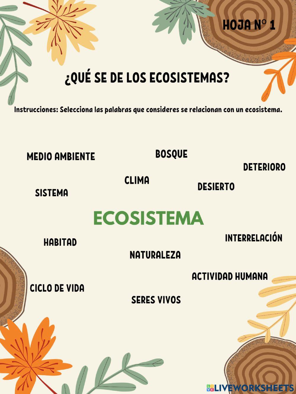 Ecosistema