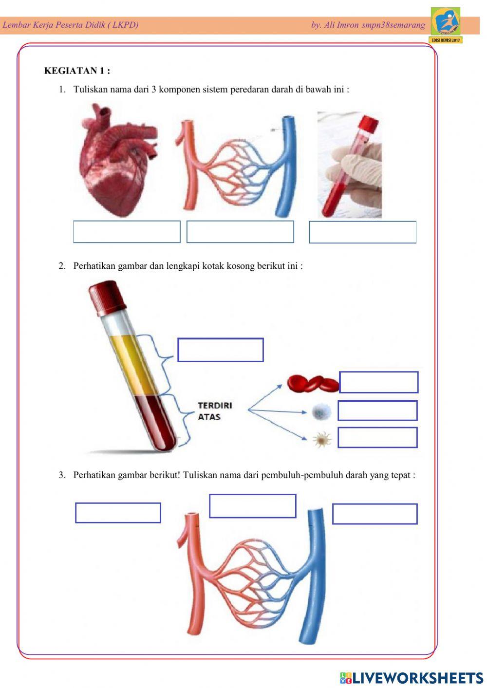Lkpd sistem peredaran darah manusia