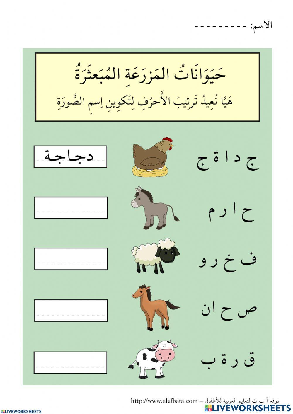 تربي الارقام