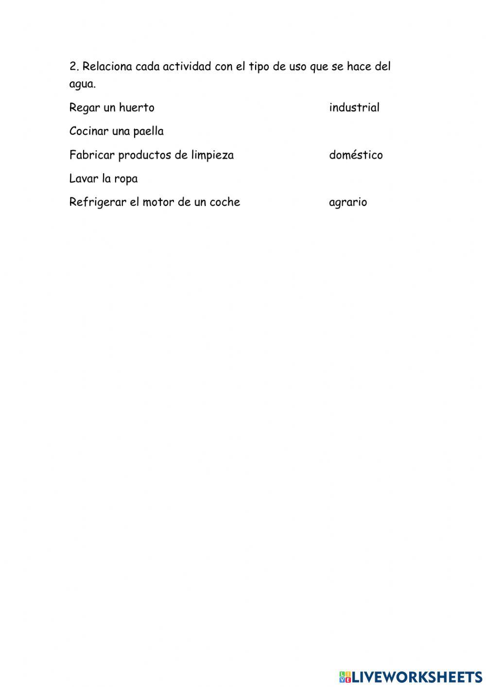 La importancia del agua