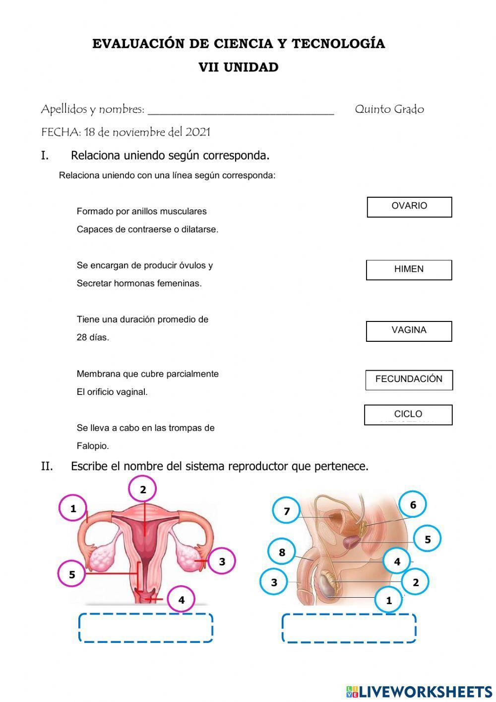 Evaluación de CIENCIA