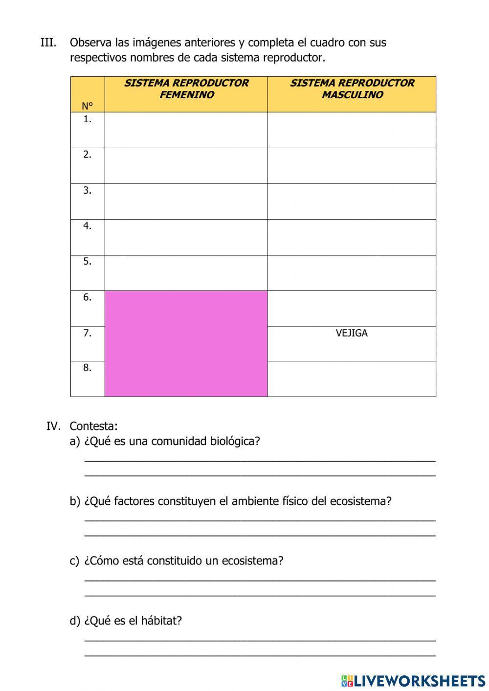 Evaluación de CIENCIA