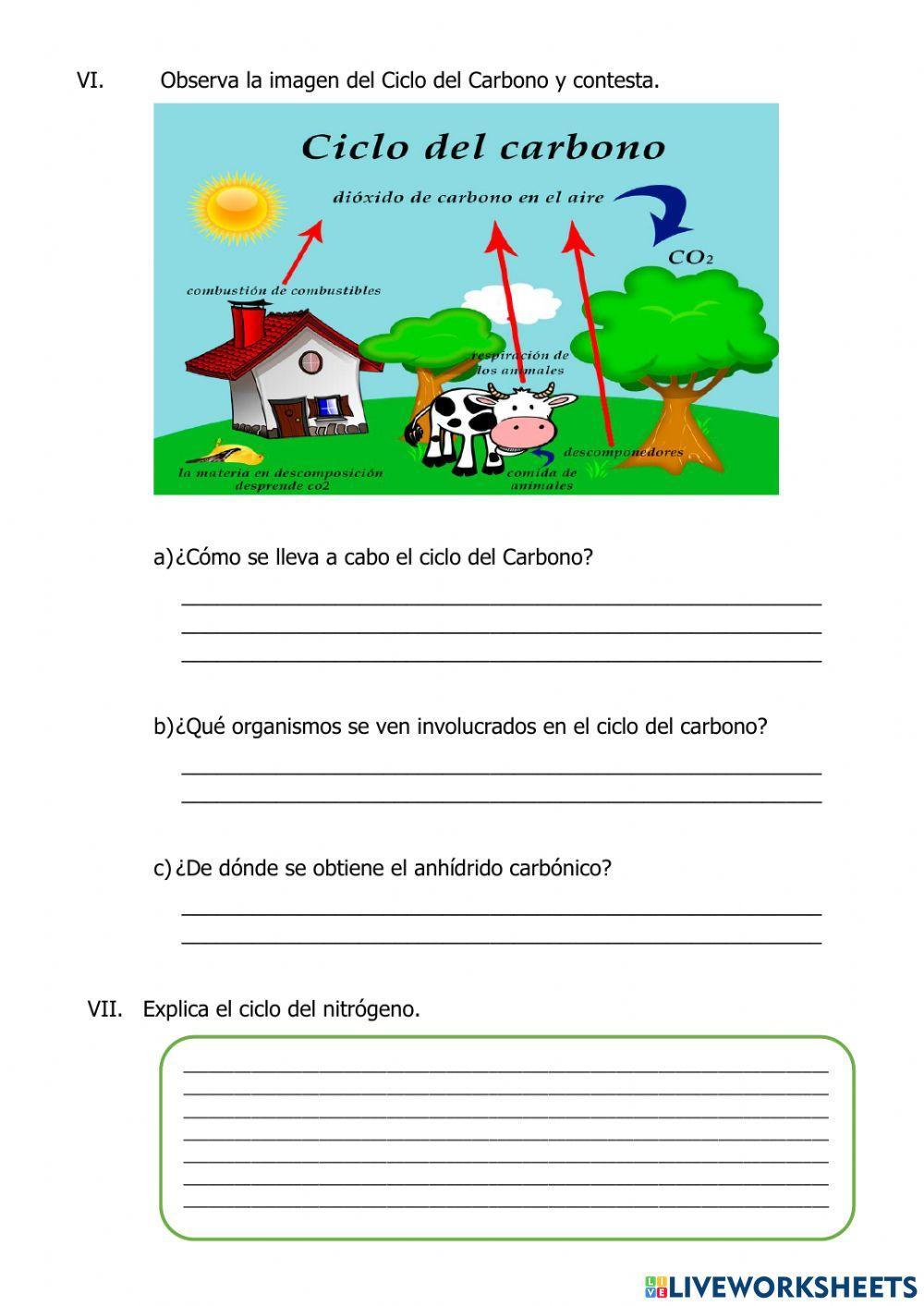Evaluación de CIENCIA
